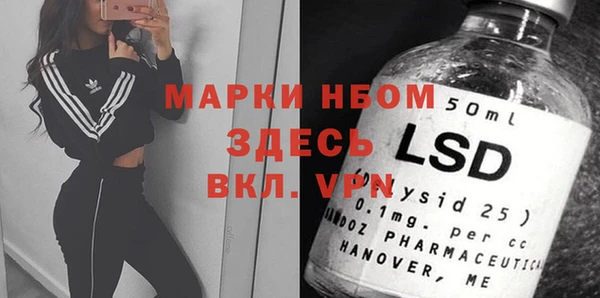 прущие грибы Абаза