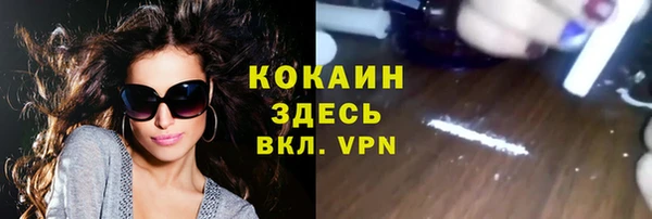 индика Покровск