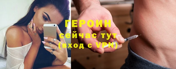 прущие грибы Абаза
