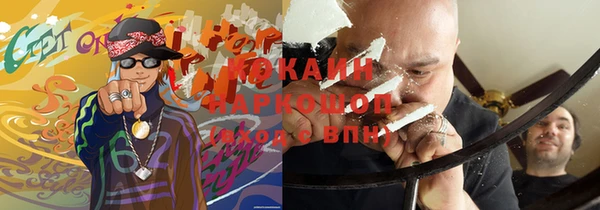 прущие грибы Абаза