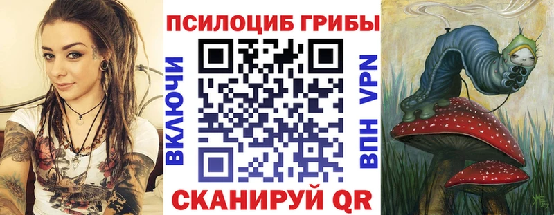 Галлюциногенные грибы мицелий  даркнет Telegram  Мосальск  где найти наркотики 